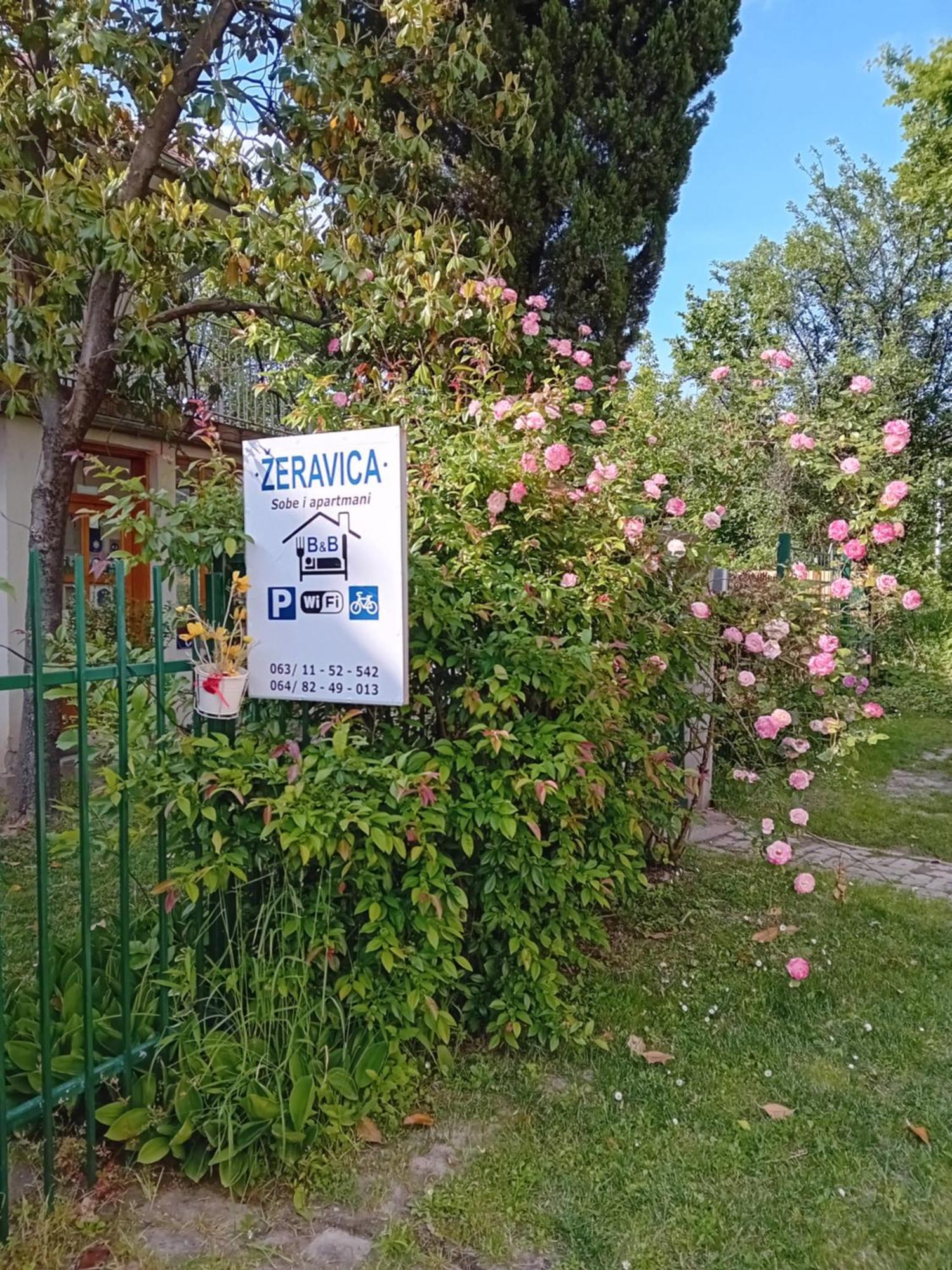 Zeravica Rooms B&B Sremski Karlovci Exterior foto