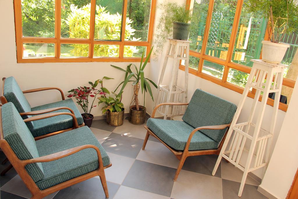 Zeravica Rooms B&B Sremski Karlovci Exterior foto